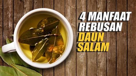 Manfaat Air Rebusan Daun Salam Rahasia Kesehatan Yang Tersembunyi