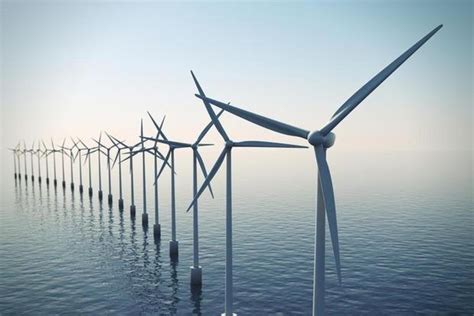 Windmolenparken Op Noordzee Hebben Effect Op Milieu Kw Be