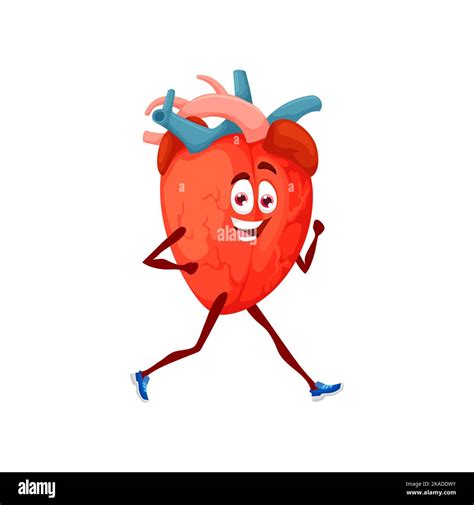 Cartoon running heart character jogging to keeping health. Isolated vector athlete organ doing ...