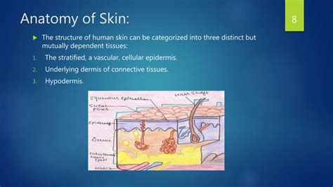 Transdermal Drug Delivery Systems Ppt