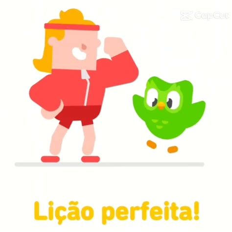 T Fazendo O Duolingo Doulingo Youtube