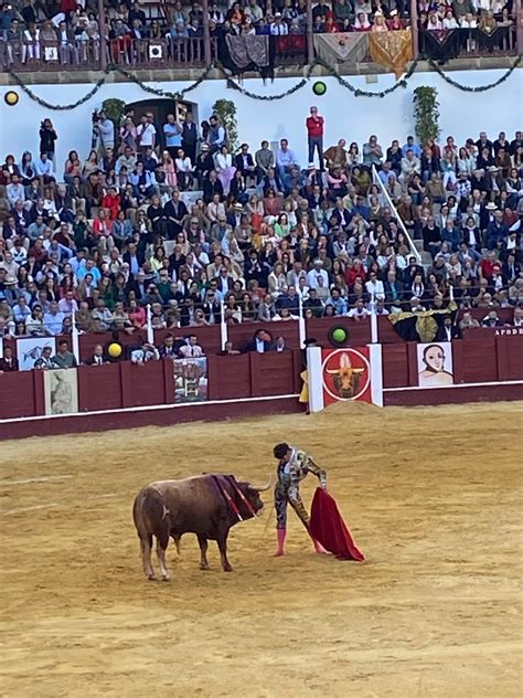 Malaga Bullfighting Tickets Official Malagueta Bullring Website