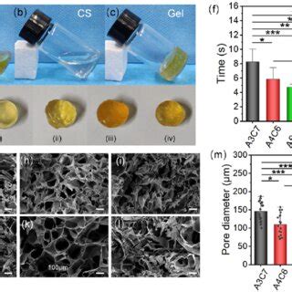 Morphology and physicochemical properties of the hydrogels composed of... | Download Scientific ...