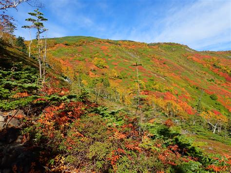 2021914 大雪山 赤岳の紅葉 ｜ 北海道大雪山系を中心とした登山・自然ガイド｜大雪山倶楽部ブログ