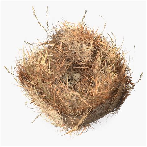 Straw Nest With Quail Eggs 3D Model 24 3ds Blend C4d Fbx Max