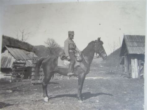 Foto Postkarte Kuk Monarchie Militaria WW1 Reiter Offizier Galizien