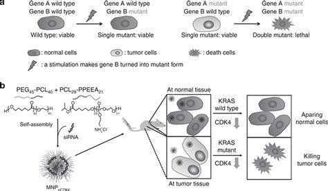 Mnpsicdk Mediated Synthetic Lethal Therapy For Kras Mutant