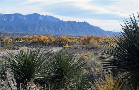 Rio Grande River Valley Fall Colors Stock Photo Image Of Colors