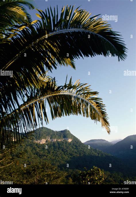 Maya Mountains Belize Central America Stock Photo Alamy