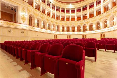 Disposizione Poltrone A Teatro Quello Che Devi Sapere