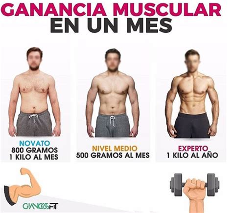 Aumentar masa muscular se vuelve más complicado a medida que te vuelves