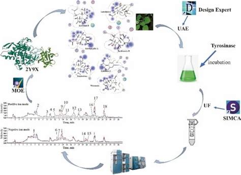 Uhplc Q Tof Ms Chemistry