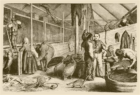 In The Menagerie