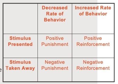 Behaviorism Flashcards Quizlet