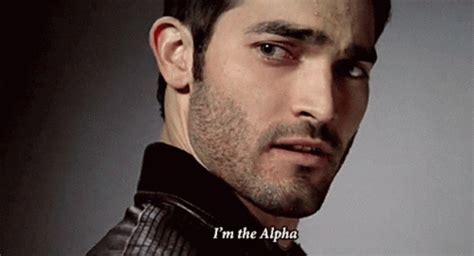 Alpha Male Wolf Top Tier Sigma Alpha Male Wolf Top Tier Sigma