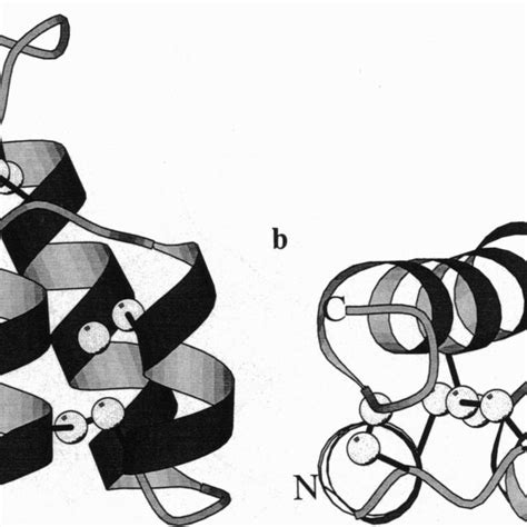 Structure Of Dimers And A Ribbon Representation Of Dimer