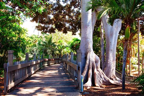 Florida Canyon Trail Balboa Park 9am Limitless Adventures