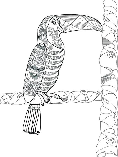 Toucan Coloring Pages Best Coloring Pages For Kids