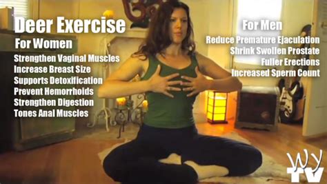 Strengthen Your Sexual Energy With The Deer Exercise Ancient Chinese Practice David Avocado