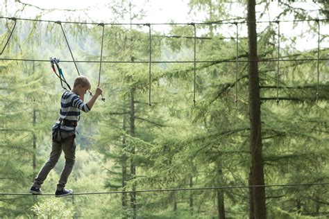 Go Ape Treetop Adventure And Treetop Journey Raleigh Nc 27614