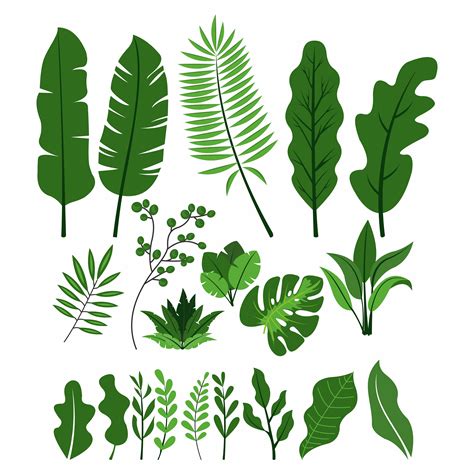 Green leaves collection 1214054 Vector Art at Vecteezy