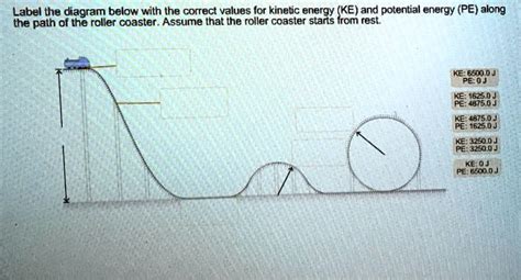 Solved Label The Diagram Below With The Correct Values For Kinetic