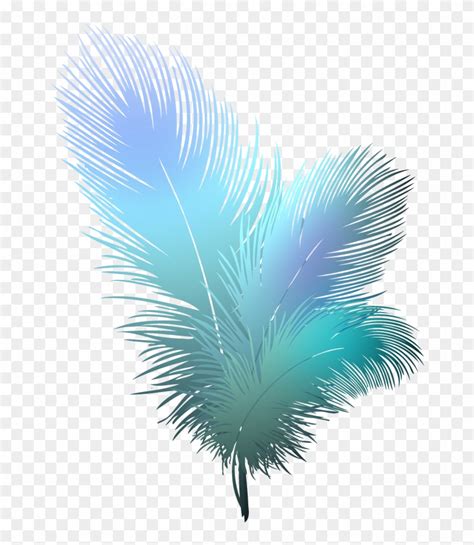 Feather Transparent Background