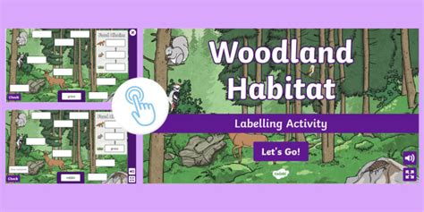 Interactive Woodland Habitat Labelling Activity Twinkl Go