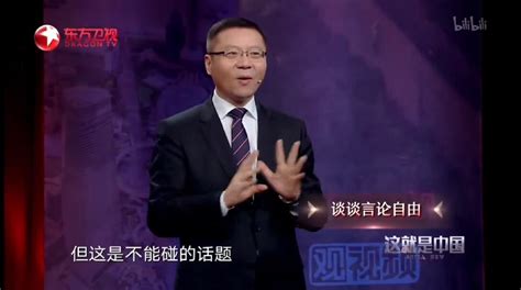 【补】给他们一点小小的原神震撼 张维为老师金句锦集01 哔哩哔哩