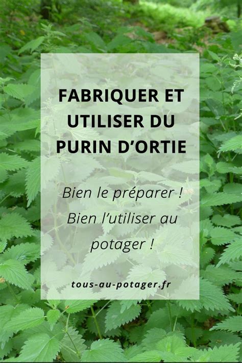 Le Purin D Ortie Fabrication Utilisation Tous Au Potager