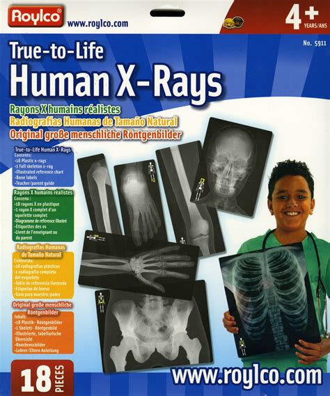 True To Life Human X Rays R O C K Solid Home School Books