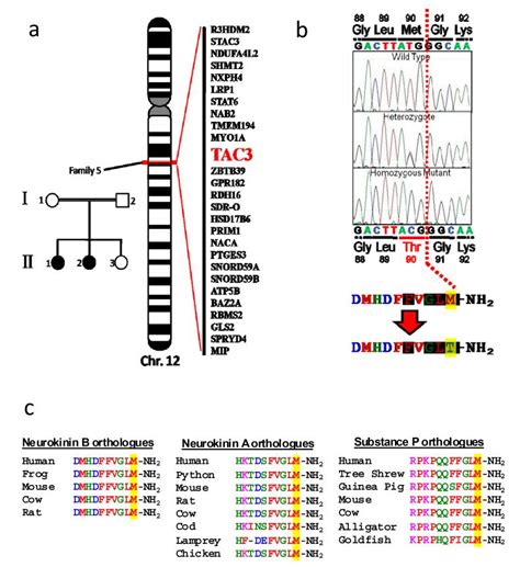 Tac And Tacr Mutations In Familial Hypogonadotropic Hypogonadism