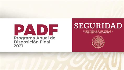 Programa Anual De Disposición Final 2021 Secretaría De Seguridad Y