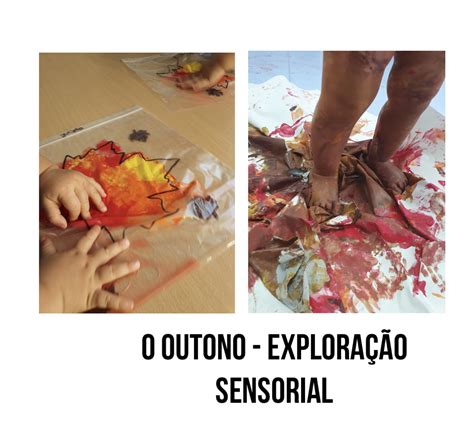 O Outono Exploração Sensorial Colégio A Palmeira