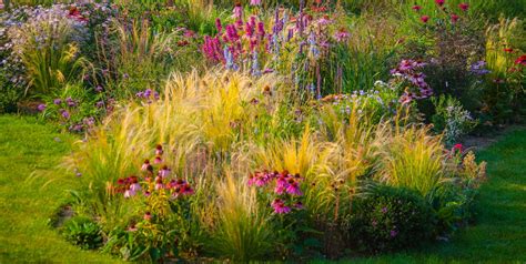 20 Best Ornamental Grasses to Add to Your Garden