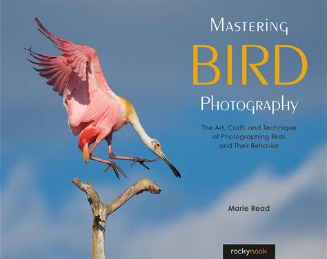 Read Mastering Bird Photography Online By Marie Read Books