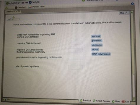 Solved Match Each Cellular Component To A Role In Chegg