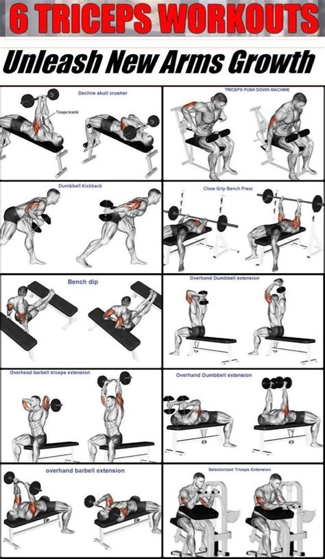 Men Workout To Grow Arms Gym Shoulder Workout Tricep Workout Gym