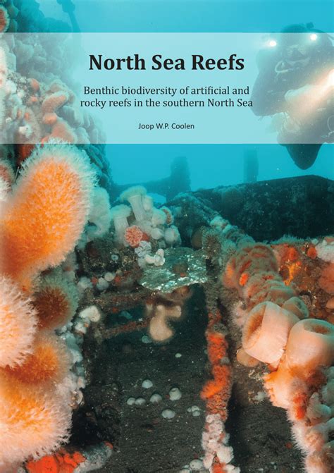 (PDF) North Sea Reefs: Benthic biodiversity of artificial and rocky reefs in the southern North Sea