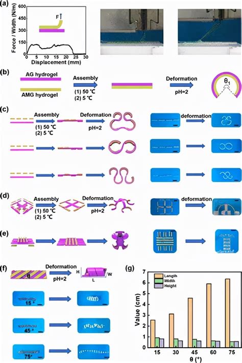 Programmable Shape Switching Shape Memory And Driving Supramolecular