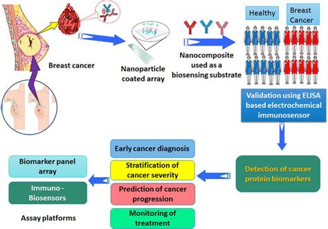 Methods Of Protein Detection In Cancer For Diagnosis Prognosis And