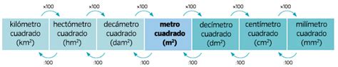 Matem Ticas En Compa A Medir Superficies T