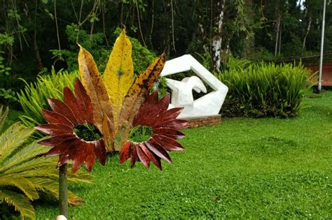 Museu Fel Cia Leirner E Audit Rio Claudio Santoro Realizam Programa O