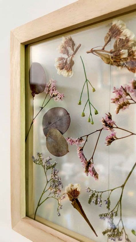 Pin By Nicolette Russchenberg On Herbarium Pressed Flowers Diy