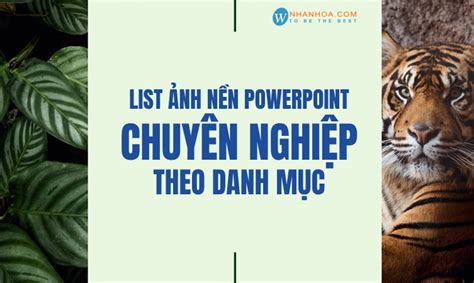 List ảnh nền powerpoint chuyên nghiệp theo danh mụ