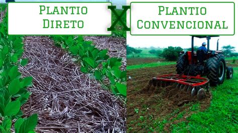 QUAIS AS DIFERENÇAS ENTRE PLANTIO DIRETO E PLANTIO CONVENCIONAL YouTube