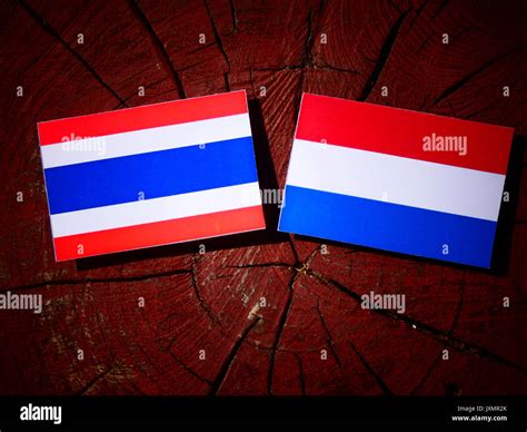 Thai flag with Dutch flag on a tree stump isolated Stock Photo - Alamy