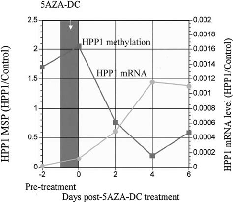 Effects Of 5azadc On Hpp1 Methylation And Expression In The Ags Gastric Download Scientific