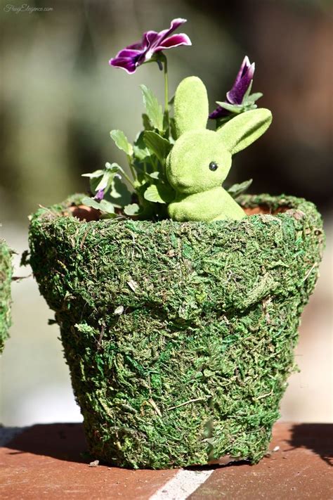 Spring Moss Covered Pots Frugelegance Diy Flower Pots Spring Diy