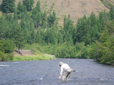 Best Fly Fishing Rivers in Oregon - Best Fishing in America